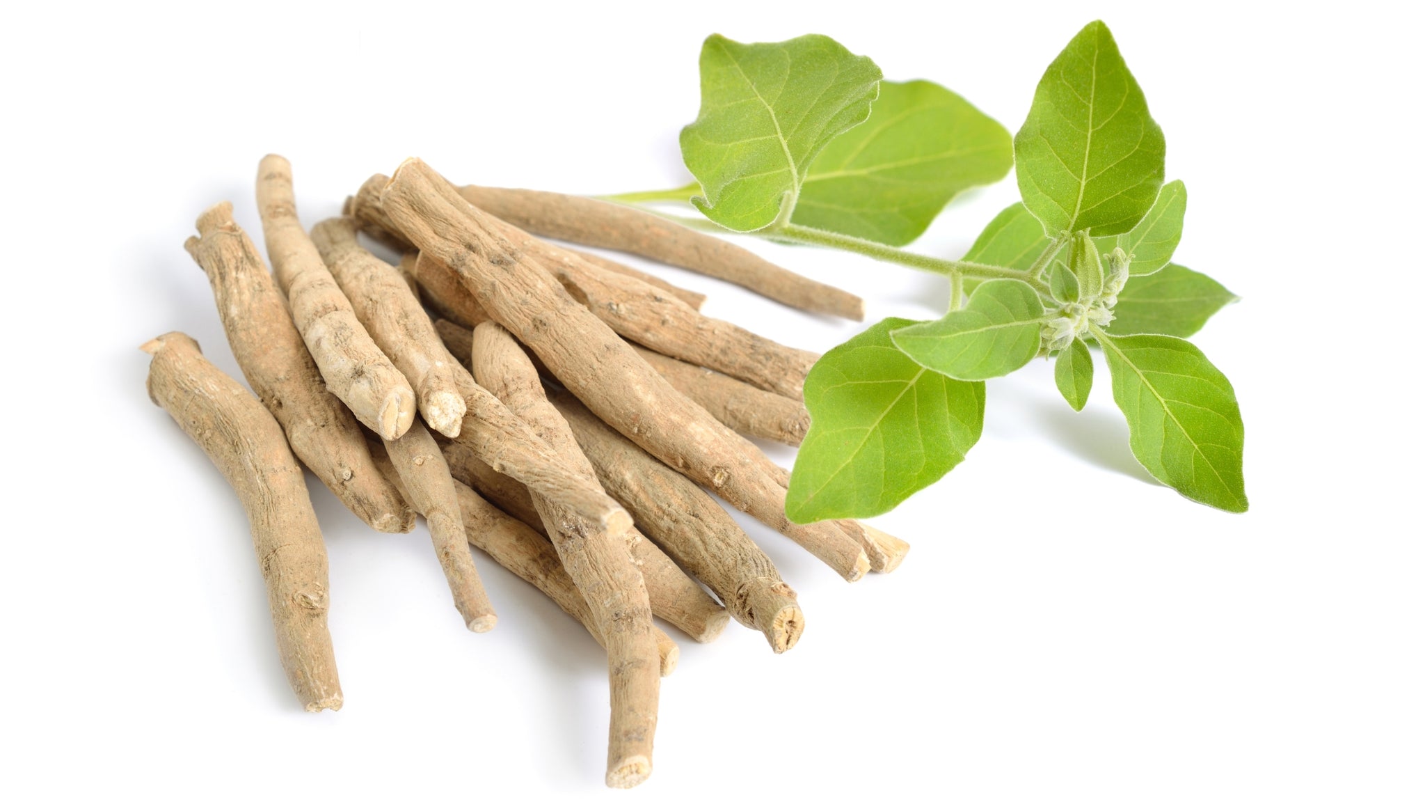 Ashwagandha's Energy Boosting Benefits