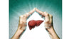 Liver Health and Ayurveda