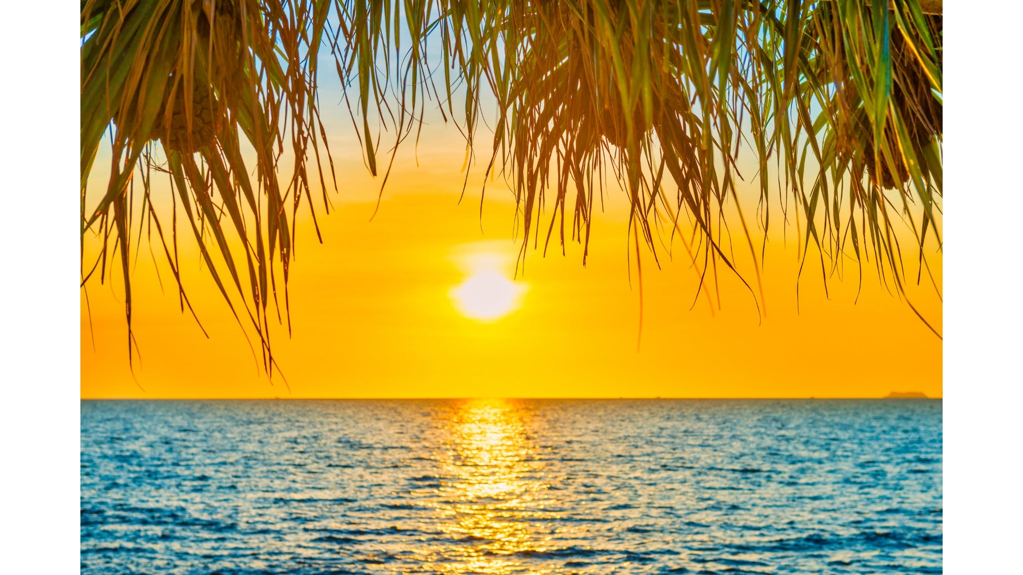 Pitta Dosha Symptoms of Imbalance