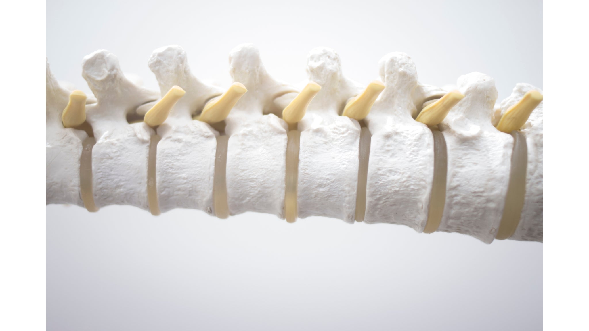 Strengthen Your Bones With Ayurveda